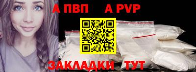 кокс Кингисепп