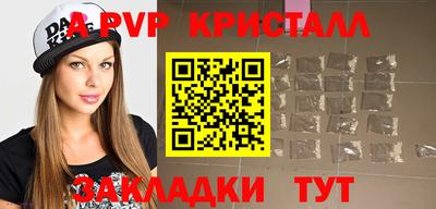 кокс Кингисепп
