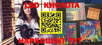кокс Кингисепп