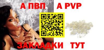 кокс Кингисепп